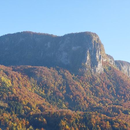 Apartmaji Pr'Pisk Bohinjska Bela Exterior foto
